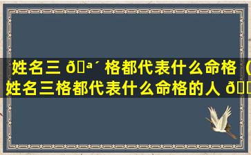 姓名三 🪴 格都代表什么命格（姓名三格都代表什么命格的人 🍀 ）